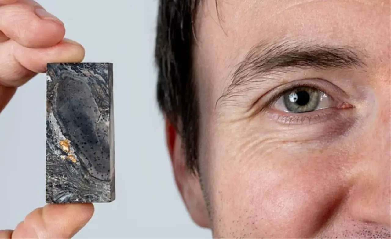 8 metrelik canavar Dünyanın ilk sakini miydi? Ne hayvan, ne mantar ne de bitkiymiş!