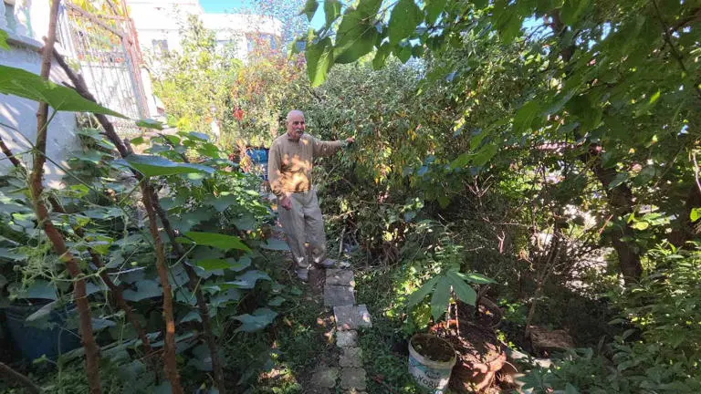 SAMSUN'DA YAŞAYAN 82 YAŞINDAKİ EMEKLİ ÖĞRETMEN HAKKI ALBAYRAK, ÜÇ KITA VE 50 FARKLI ÜLKEDEN GETİRDİĞİ TOHUMLARLA EVİNİN BAHÇESİNDE ADETA BİR "DÜNYA BAHÇESİ" OLUŞTURDU.
