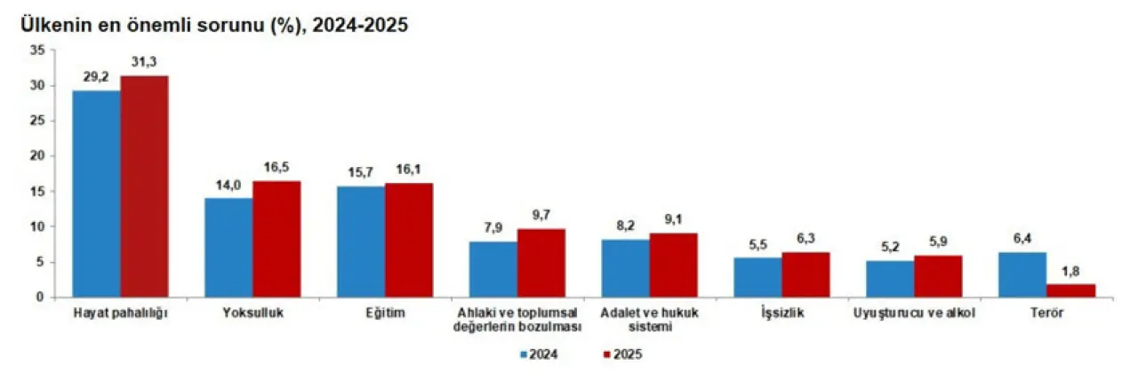 TÜİK: Türkiye’de mutluluk arttı, hayat pahalılığı ilk sırada kaldı - Resim : 6