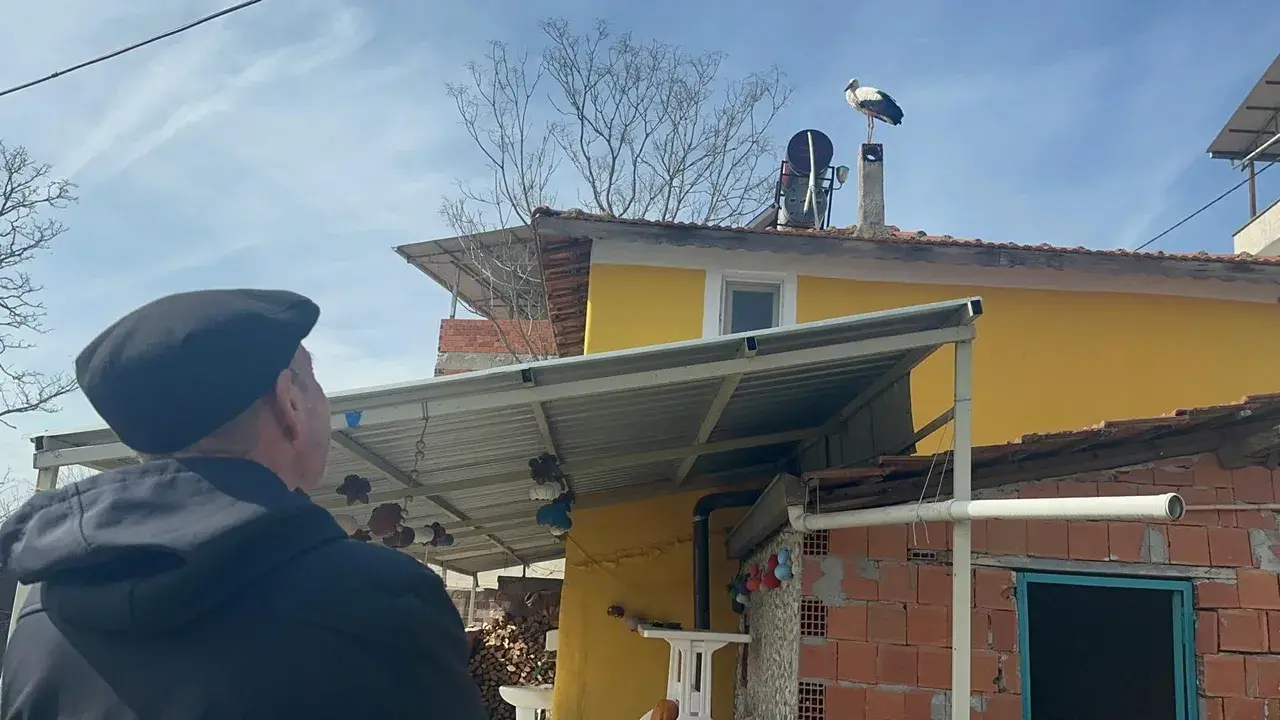 Yaren Leylek geldi mi? Eşi yuvaya kondu, tüm köy sevince boğuldu