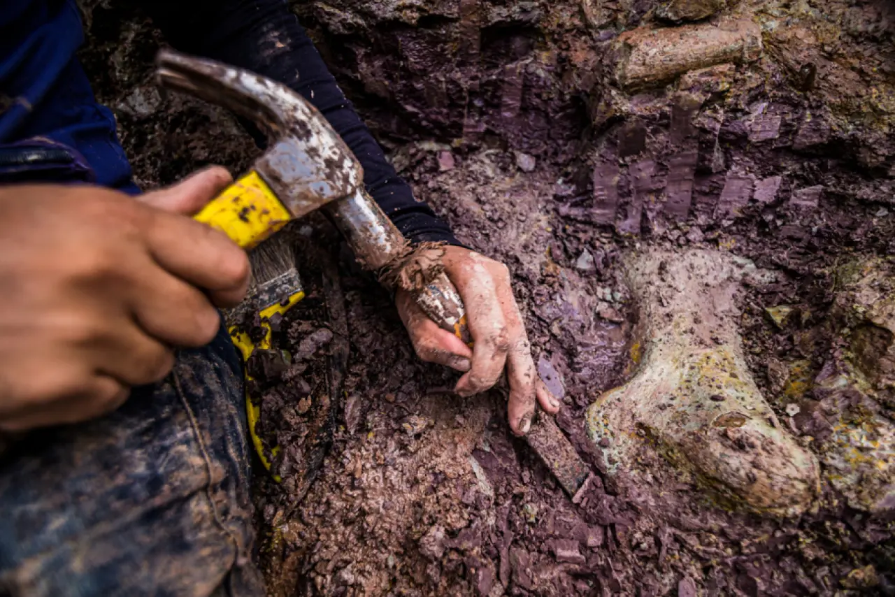 İNSAN BOYUTUNDA KEMİKLER 1