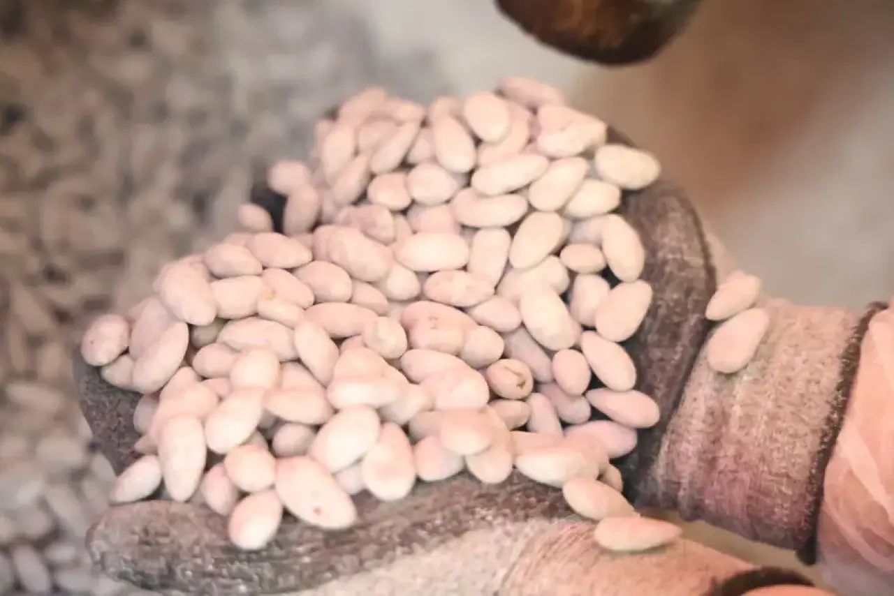 Kilolarca satılıyordu, beyaz altın şimdi tonlarca satıldı. Kan şekerini dengeliyor 2