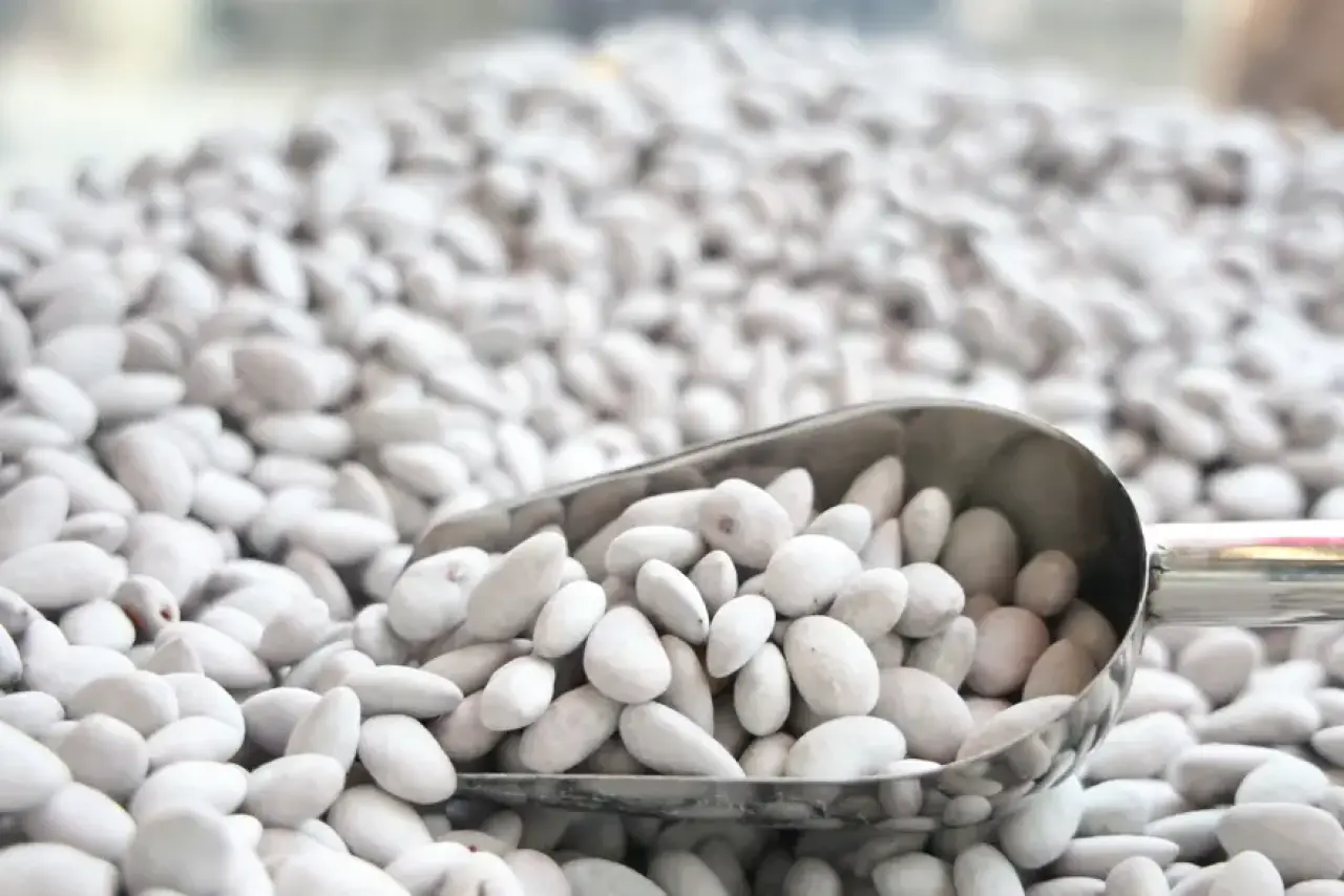 Kilolarca satılıyordu, beyaz altın şimdi tonlarca satıldı. Kan şekerini dengeliyor 3