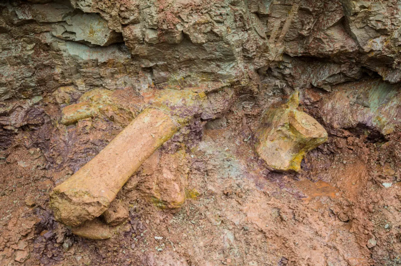 AVRUPA İLE AKRABALIK BAĞI 2