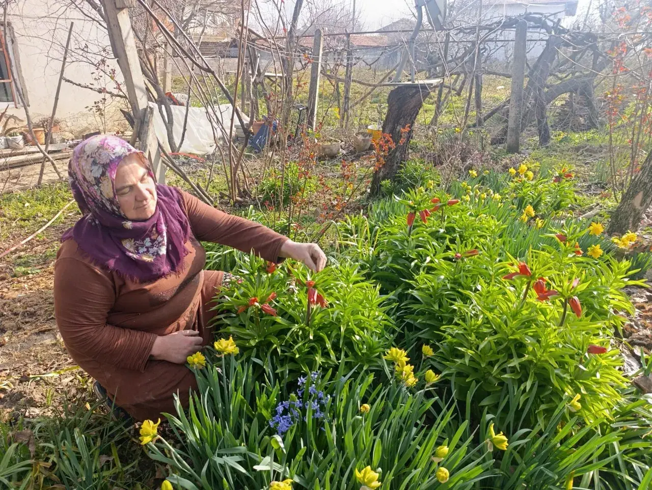 Koparmanın cezası 577 bin lira! Bu köyde evlerin bahçesini "ağlayan gelin" süslüyor
