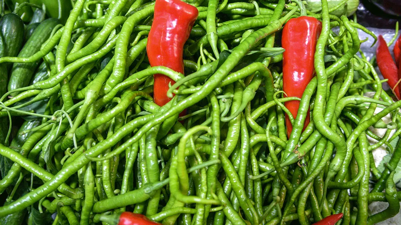 Tarladan 7 liraya çıktı, rafta 200 liraya uçtu! Ticaret Bakanlığı biber 'vurgununu' paylaştı