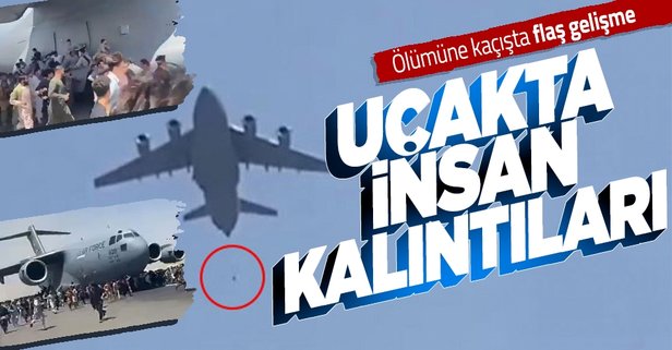 Kabil'den kaçış! ABD kargo uçağının iniş takımında bulunan insan kalıntıları hakkında soruşturma başlattı - Takvim