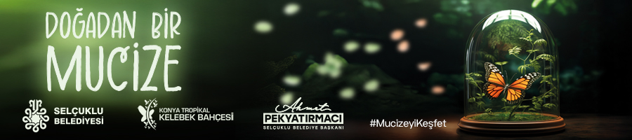 reklam